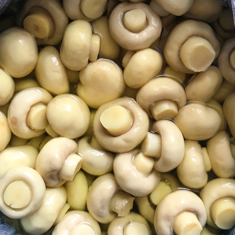 Brined Whole Champignon Mushroom in Brine/So2 Pack in Drum