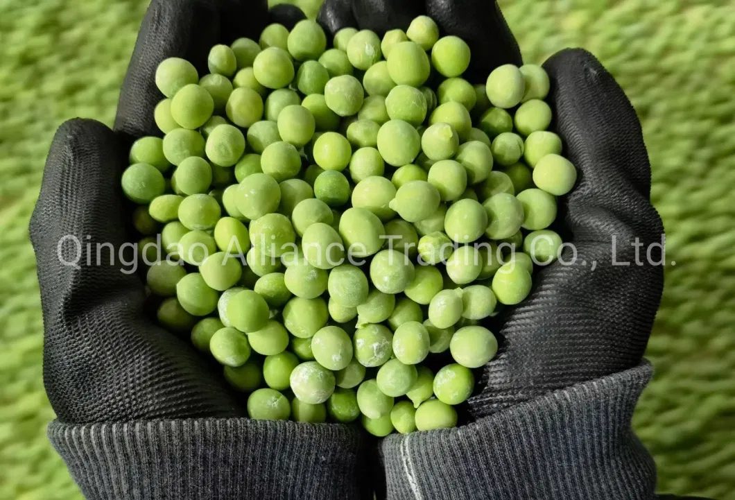 Global Hot Sale Organic Frozen Green Peas IQF Health Snow Pea Frozen Green Garden Peas for Exporting