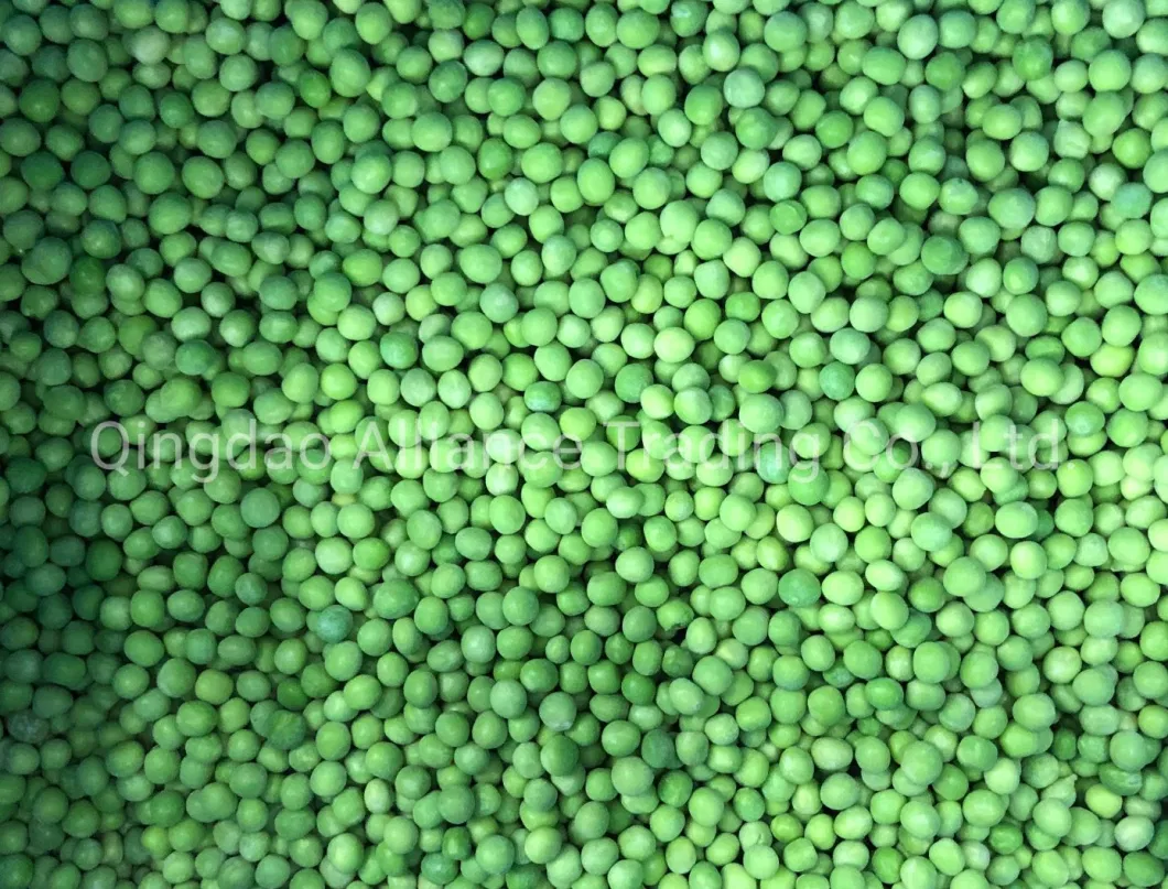 Global Hot Sale Organic Frozen Green Peas IQF Health Snow Pea Frozen Green Garden Peas for Exporting