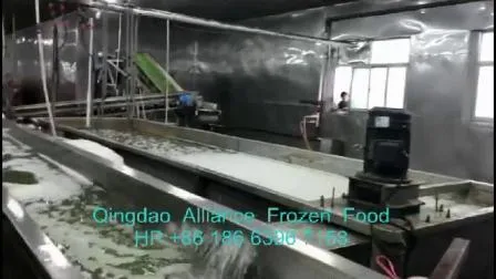 Brc a-zugelassene gefrorene grüne Erbsen in China IQF in Großverpackungen für den Einzelhandel