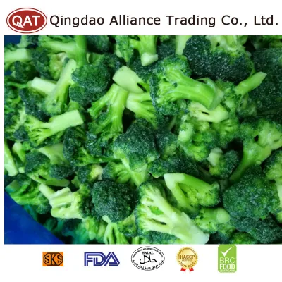 China Preiswerter gefrorener grüner Brokkoli Bio-IQF-Brokkoli mit Einzelhandelspreis für den Export