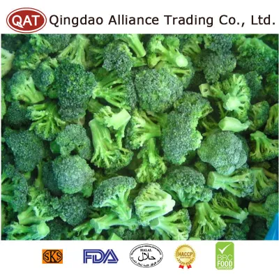 China Organic Manufacturer Factory Frozen Green Broccoli Cut IQF Crop Green Broccoli mit gutem Preis